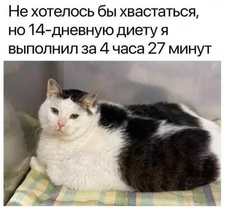 Картиночки, баянчики 27 марта