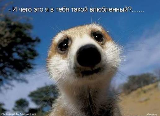 а давайте отмечать день пиздю@лины (мотивированного пендаля)