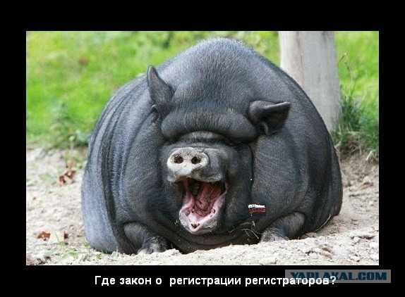 Видео с регистраторов под запрет!