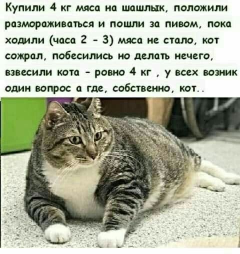 Картинки на среду