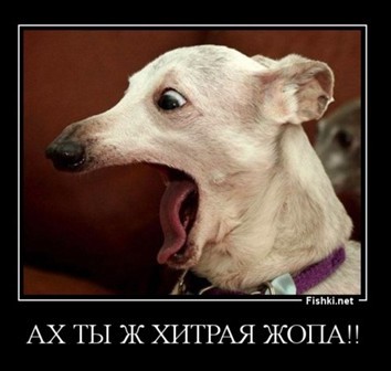 Пилюля от азарта