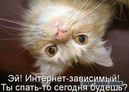 Мини подборка приколов