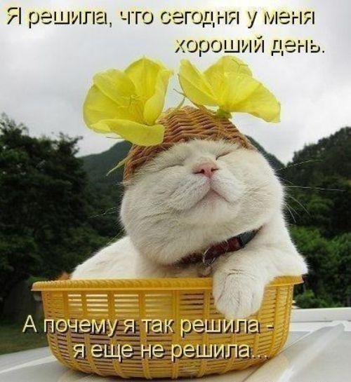 Импровизация, бачата