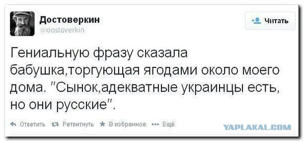 Украинцы и укропы с хохлами
