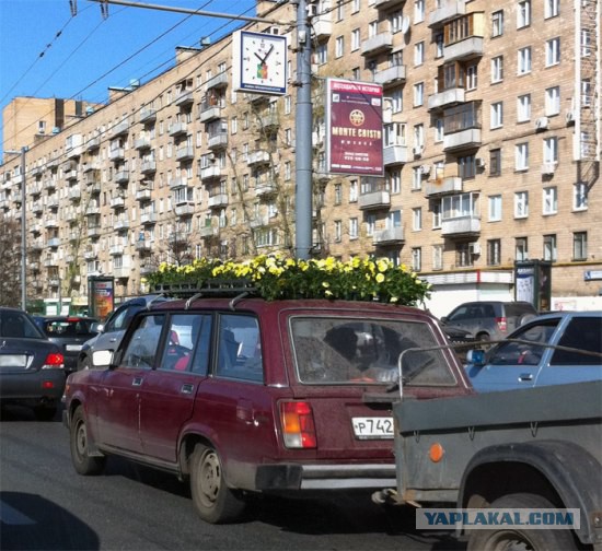Топ 10 любимых водятлами машин.