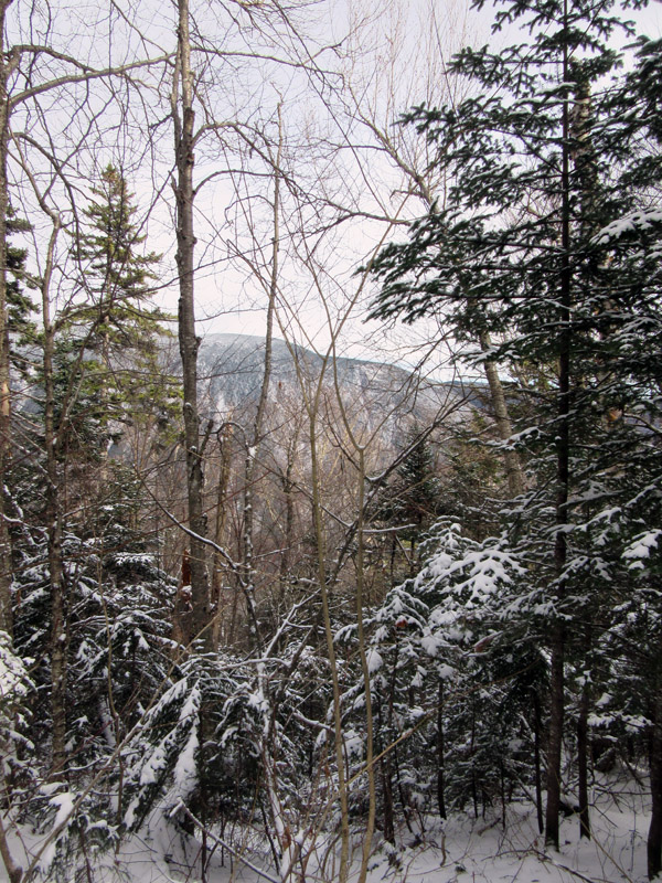 Деревенская Америка
