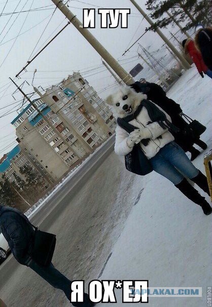Картинки
