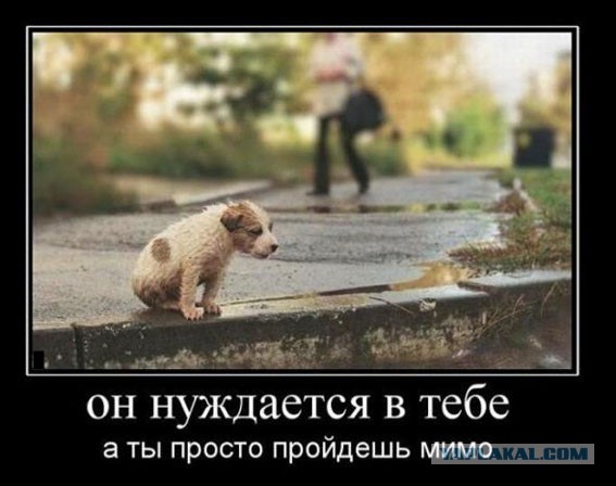 Давно демотиваторов не было