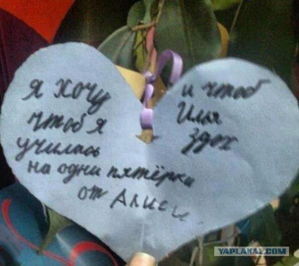 Автолюбитель спас прохожего от волкодава