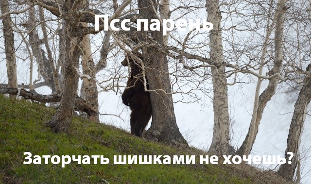 Игорь Шпиленок - защитник дикой природы