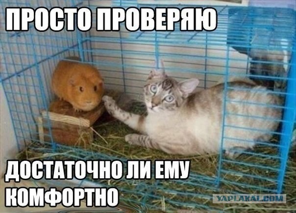 Позитивные картинки