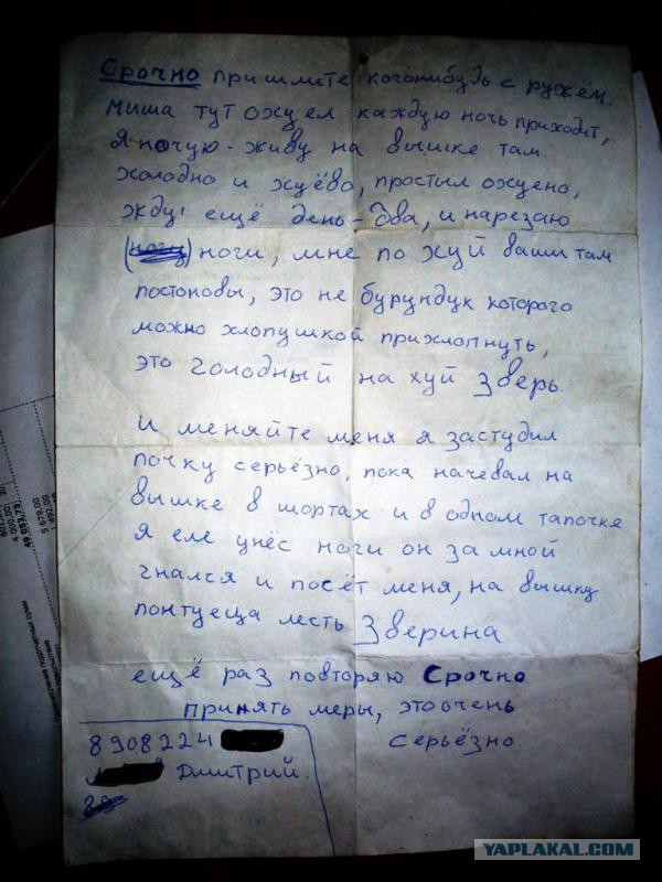 В гостях у медведя
