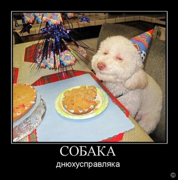 Приколы из сети на 18.05.2015
