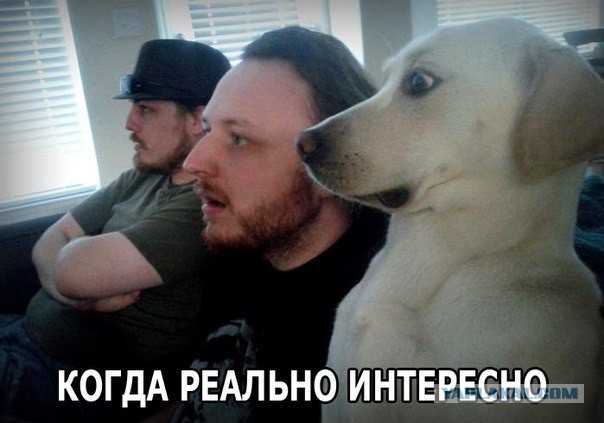 Один день фельдшера в далекой северной деревне.