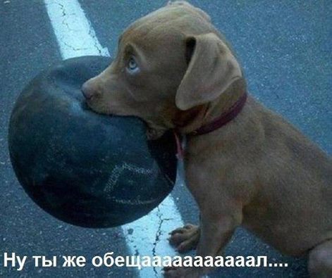 Картинки + гифки.