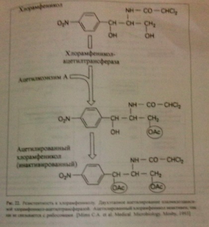 Россия прекратит производство