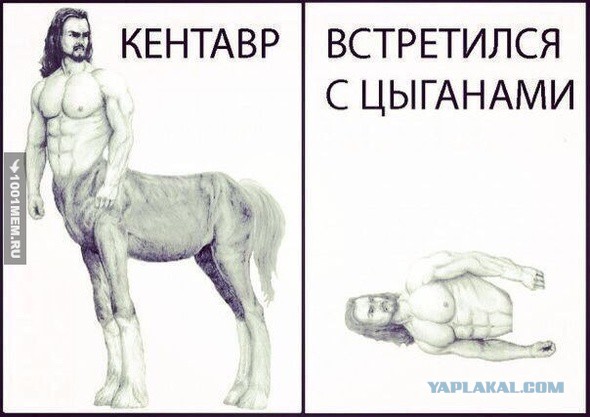 Прикольные картинки и демотиваторы