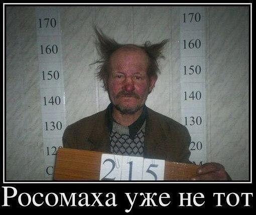 Приколы из сети