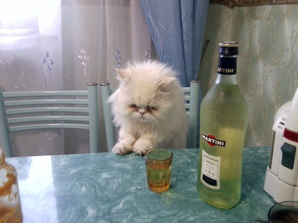 Разные картинки