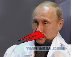 Путин с клювом в халате возглавил журавлиный клин