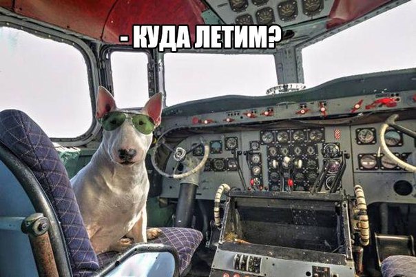 Подборка прикольных картинок