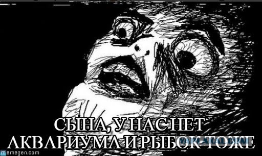 Про мышку