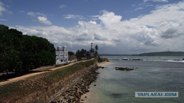 Самостоятельное путешествие в Шри-Ланку
