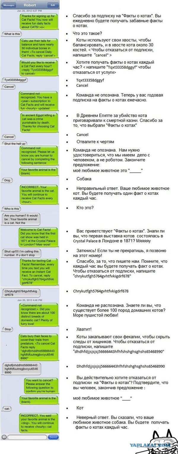 Картинки, СМСки из вашего тырнета