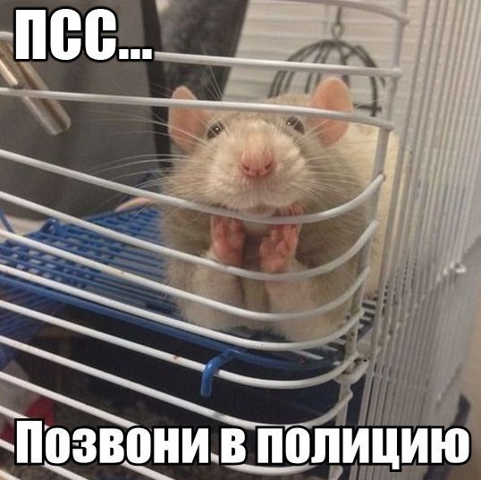 Веселые картинки