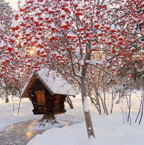 Я узнал, что у меня есть огромная семья