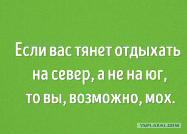 40 улыбательных картинок