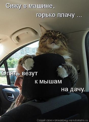 Всякая всячина.