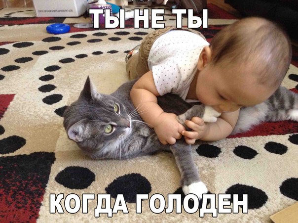 Подборка интересных и веселых фото