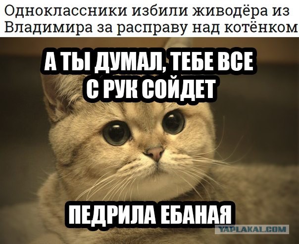 Кара настигла изверга!
