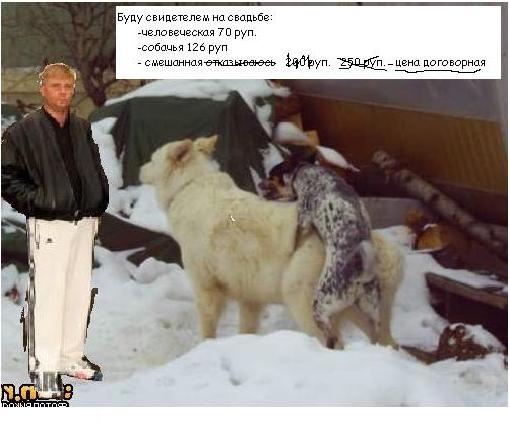 Фотожаба: Свидетель из Фрязино