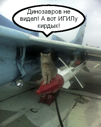 Кошек признали опаснейшими хищниками на Земле