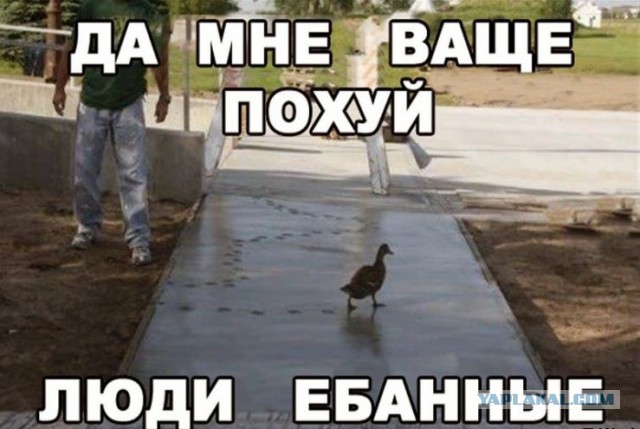 Средней упоротости пост