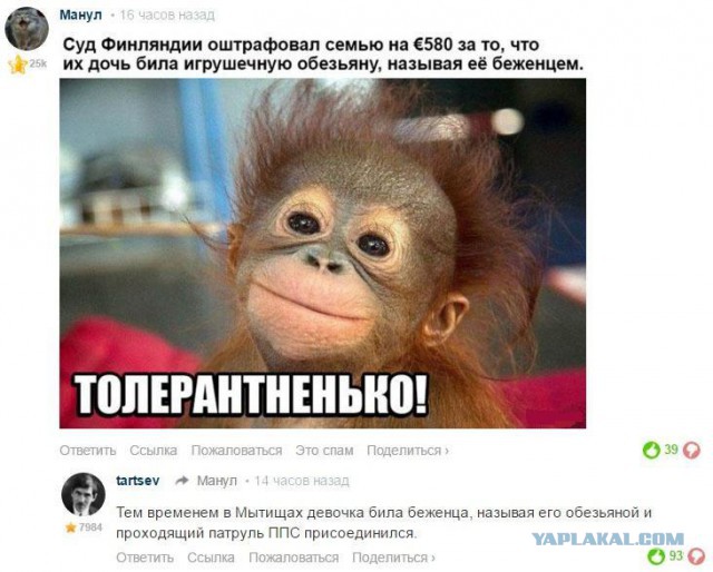 Смешные комментарии из социальных сетей 21.10.2016