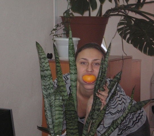 Соцсети - и смех и грех