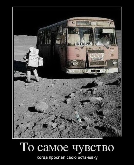 Прикольные и веселые картинки