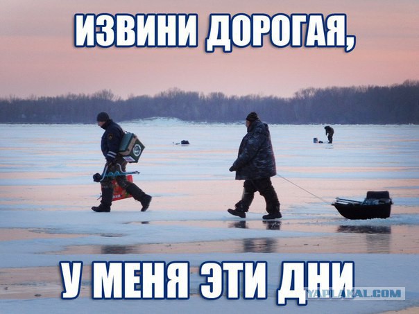 «Может им сразу гири с верёвками давать»: глава Балаково возмутился любителями зимней рыбалки