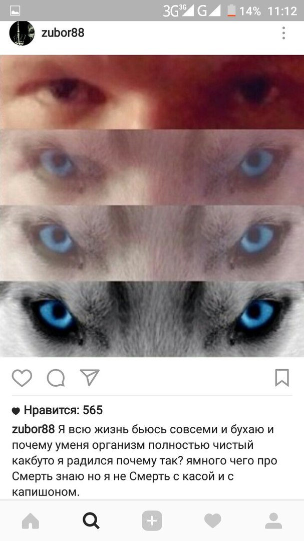 Ужасы и приколы из соцсетей 18+