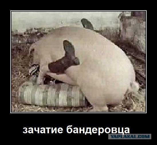 Чонгарская перемога. Новый сезон!