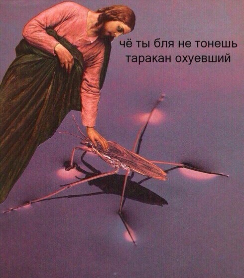 Деградации ЯПу от Креизи