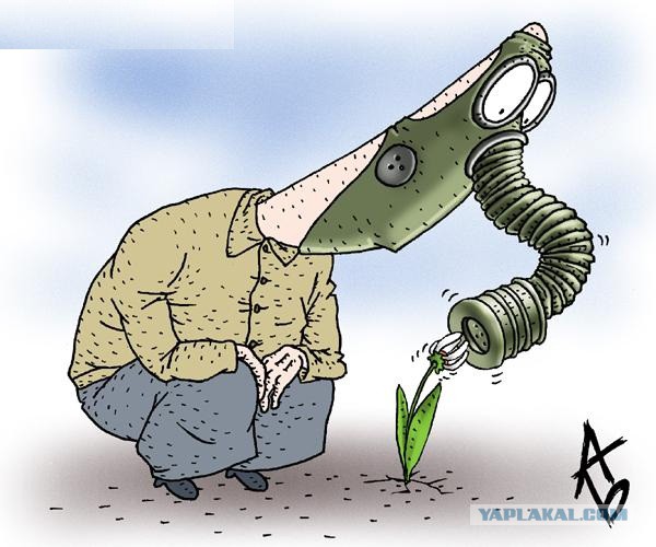 Аллергики тут есть? А то жить хоцца...