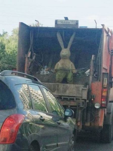 Подборка безудержного веселья