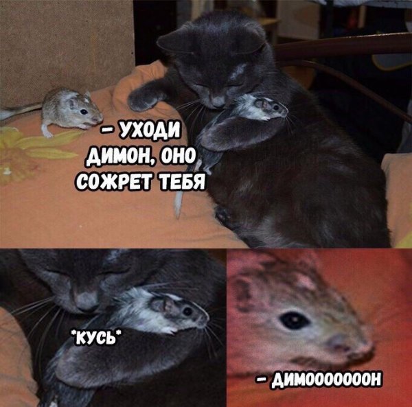 Приколы в стиле "регресс"