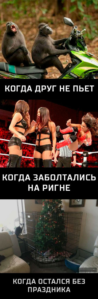 Просто картинки