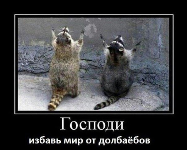 Прикалюхи
