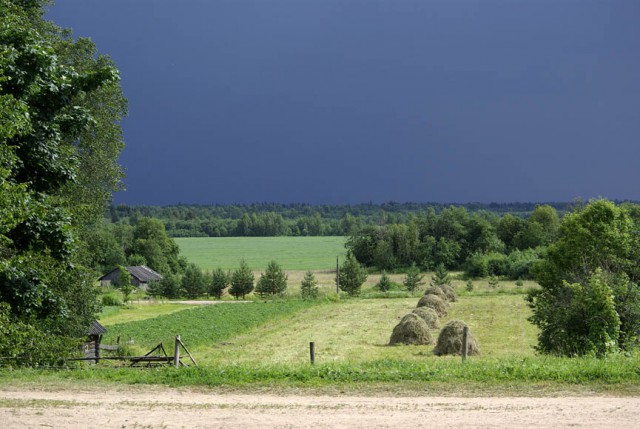 Каникулы в деревне